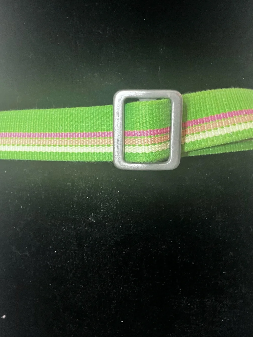 J Crew green and pink striped fabric belt metallic D-ring closure - Picture 9 of 9